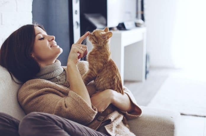 Best Advice for First-Time Cat Owners