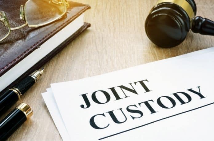 What You Should Know About Joint Custody
