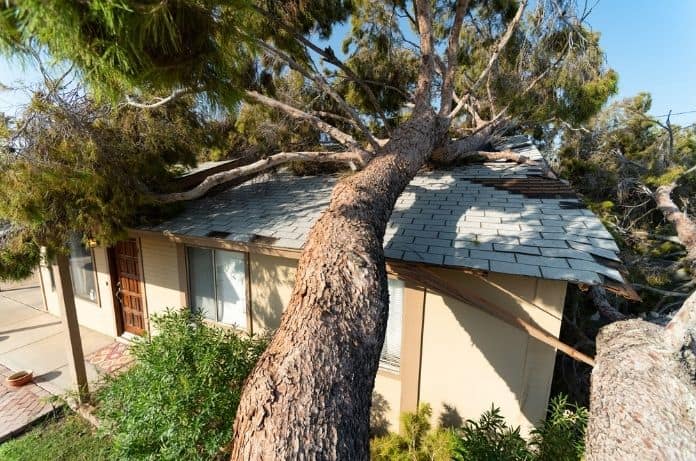How To Handle a Storm Damage Insurance Claim