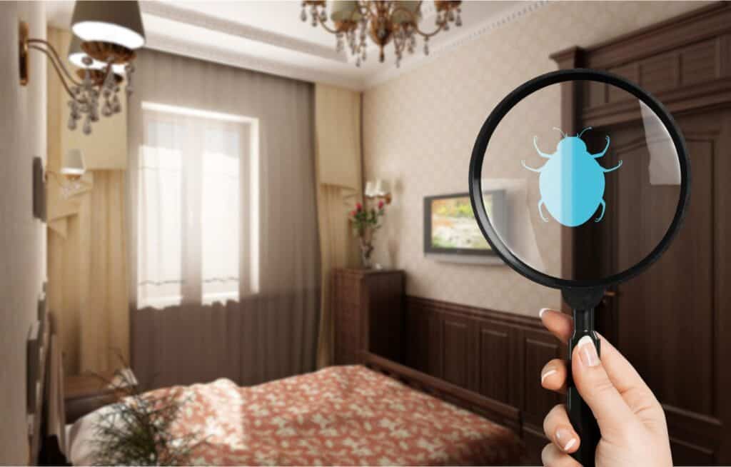 5 Things To Inspect Before Moving To Your New House 2 AdobeStock 332013993