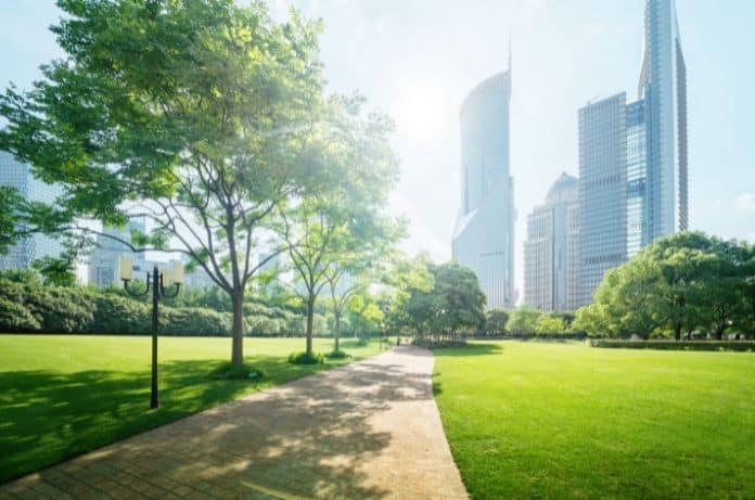 How Cities Can Become More Sustainable