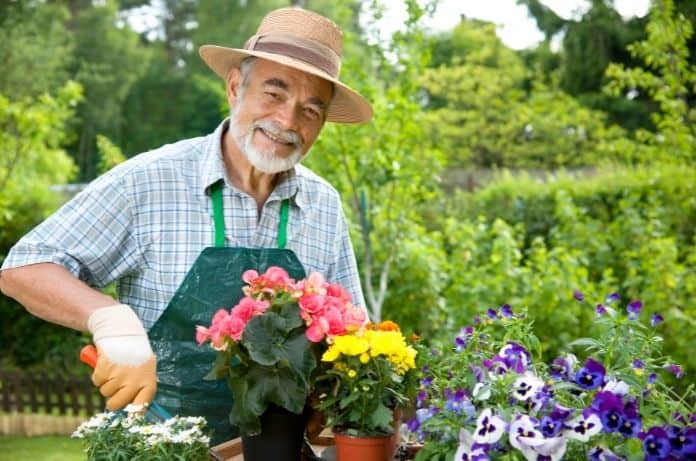 Best Hobbies for Retirees To Try After Leaving the Workforce