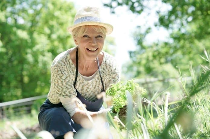 The Benefits of Rock Gardening for Seniors