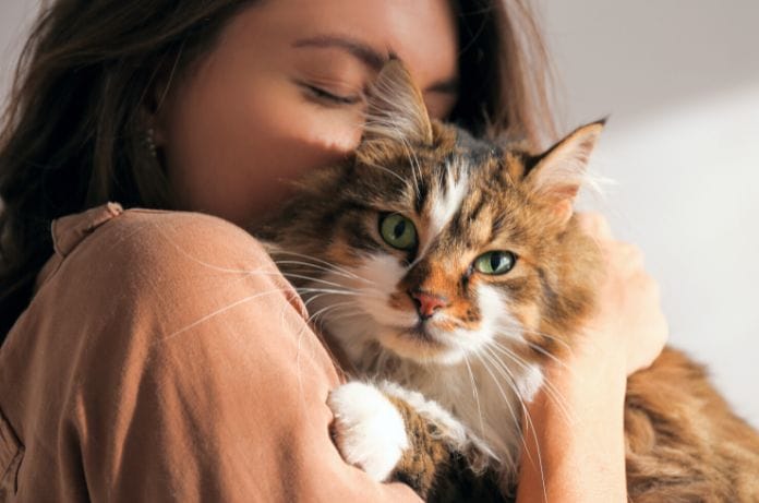 What Landlords Need To Know About Emotional Support Animals