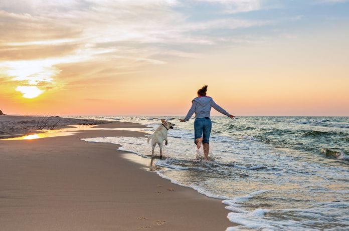 Fun Beach Activities for You and Your Dog