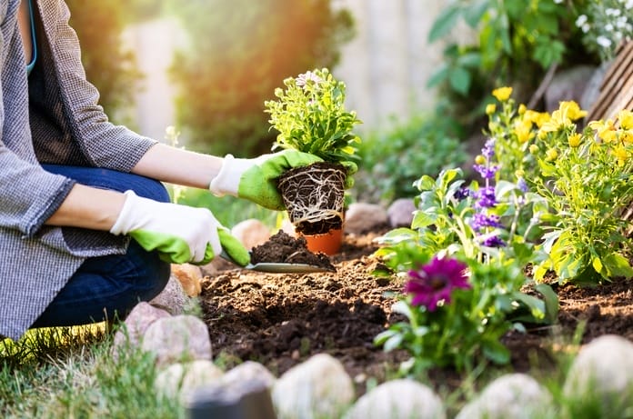 A close-up of someone squatting down in their garden, using a mini shovel to plant new flowers in their flowerbed.