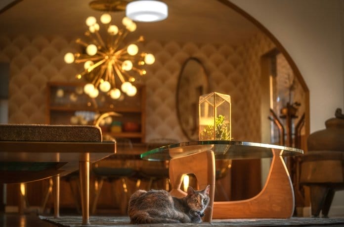 A living room features mid-century style furniture and a sculptural light fixture. A cat is curled up on the floor.